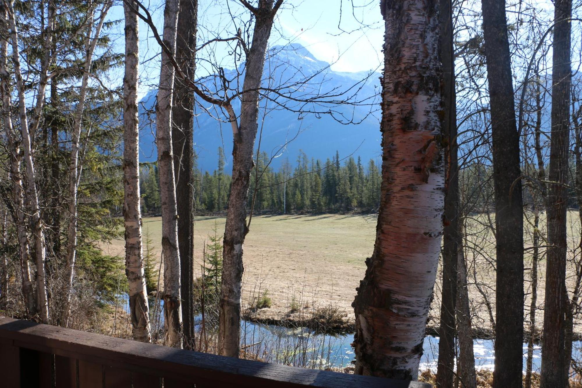 Rocky Mountain Cabins And Home Golden Kültér fotó